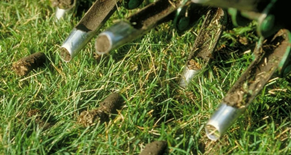 Professional top dressing service