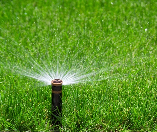 Lawn Watering Guide - Tips & Walkthrough - 2026
