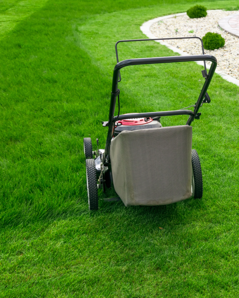 spring lawn care