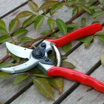 pruning shear