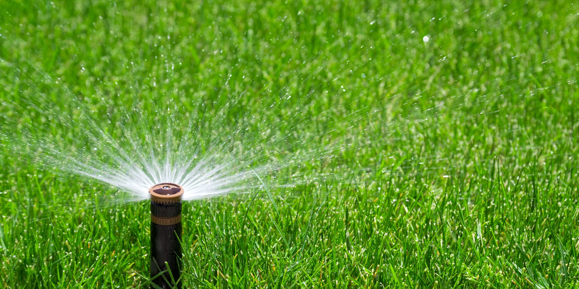 Watering your lawn in North Texas - Lawn Watering Guide