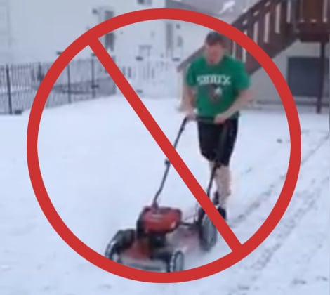 Cutting Grass in Winter Time - Is it Necessary?