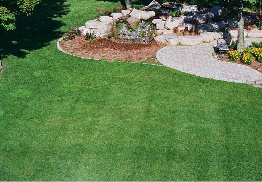 Seasonal Lawn Care from Winter to Spring