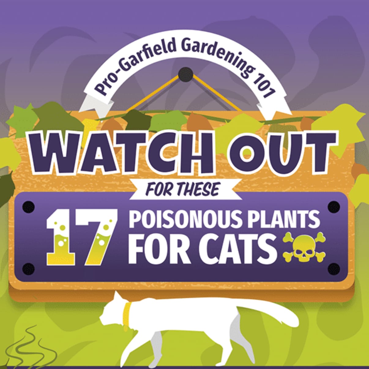 Plants That Are Toxic To Pet Cats  - Ryno Lawn Care, LLC