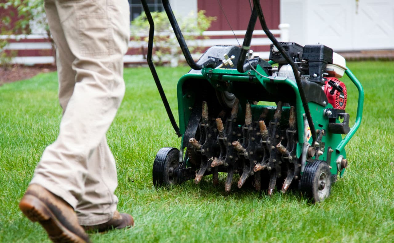 lawn aeration 