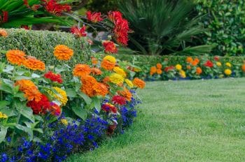 Spring and Summer Lawn Care - Ryno Lawn Care, LLC