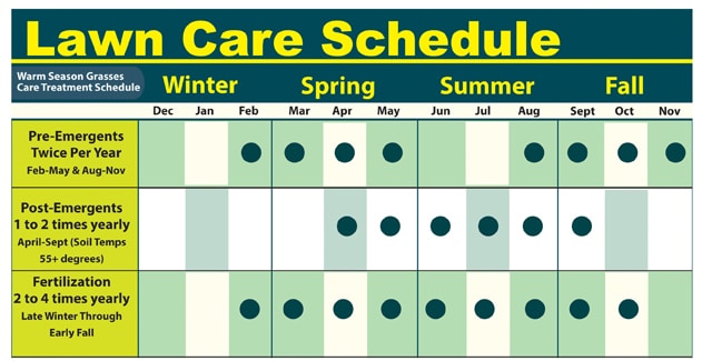 Weed and Feed Schedule for Lawn Care in 2023