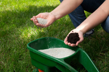 how to care for lawn in summer