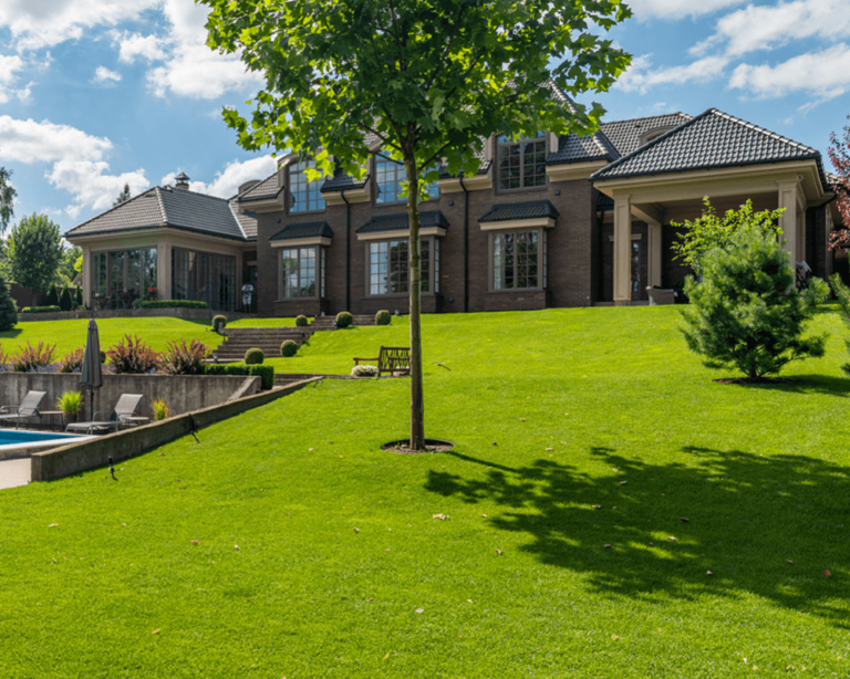 how to control grubs in lawn