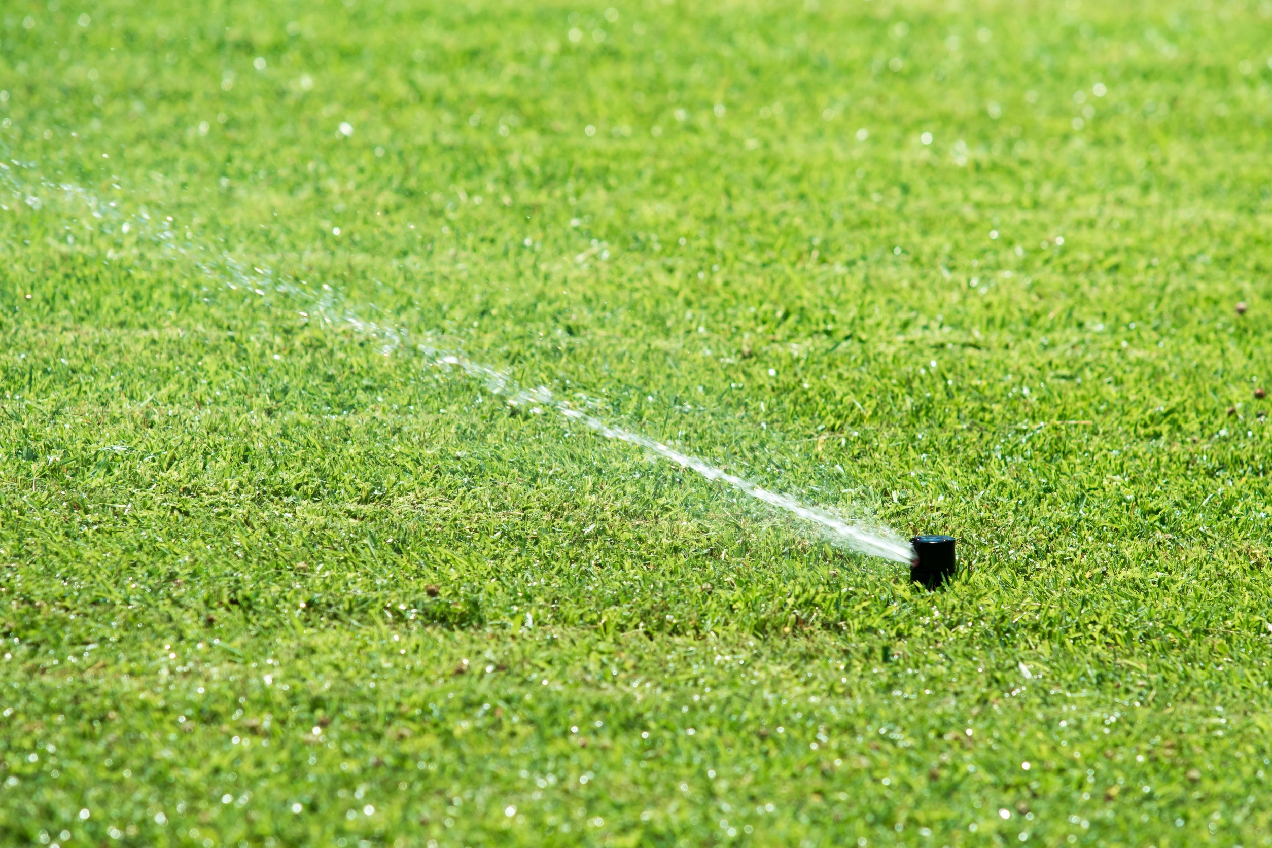 Lawn Care 101 for Beginners in North Texas for 2023