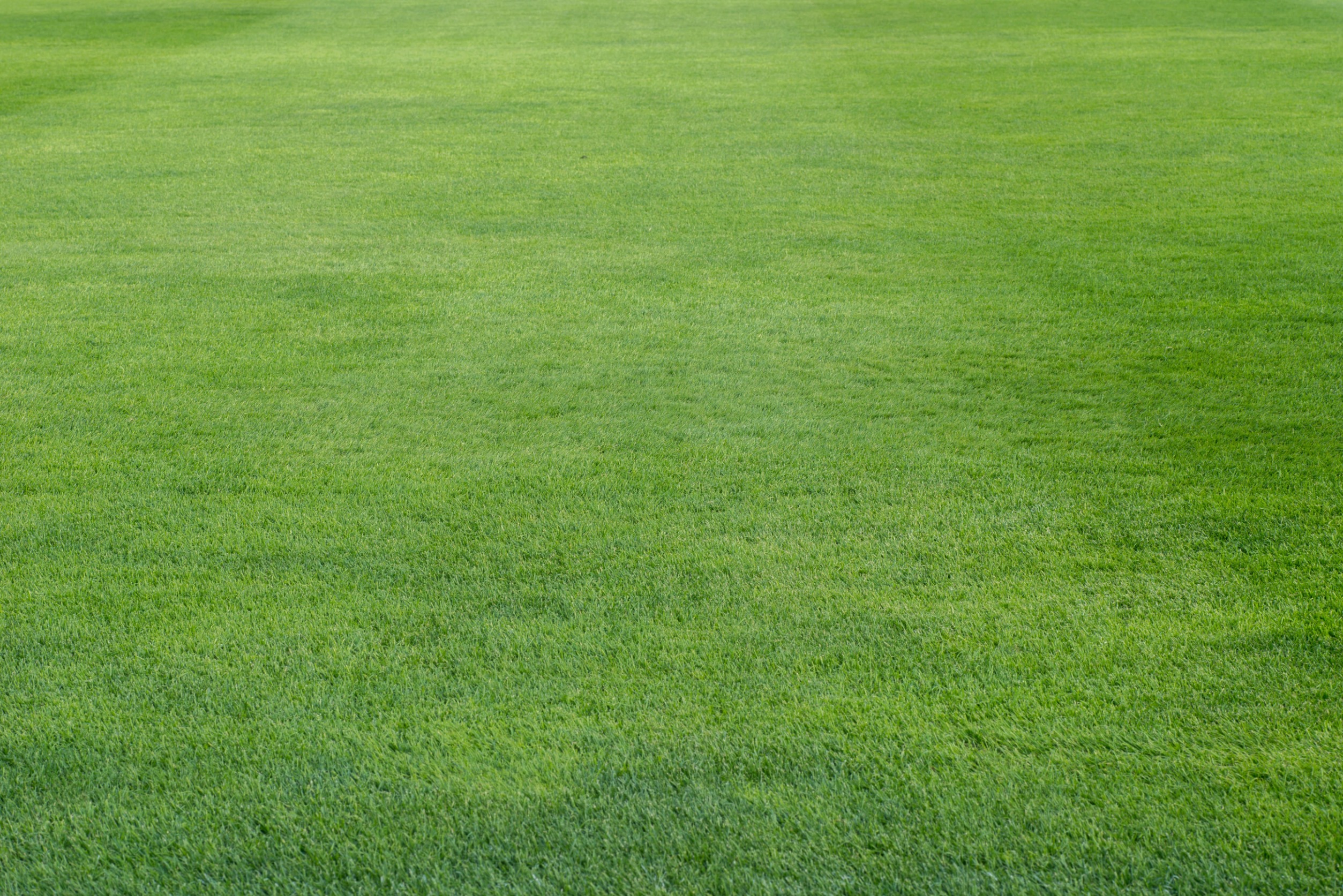 Lawn Leveling for the Growing Season-Tips for a Beginner