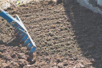 level lawn to prepare ground for sod