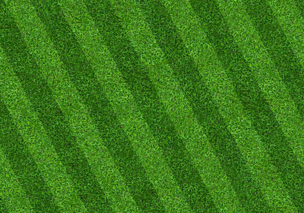 DIY Lawn Striper Kit: Make Your Lawn Look Like a BallPark