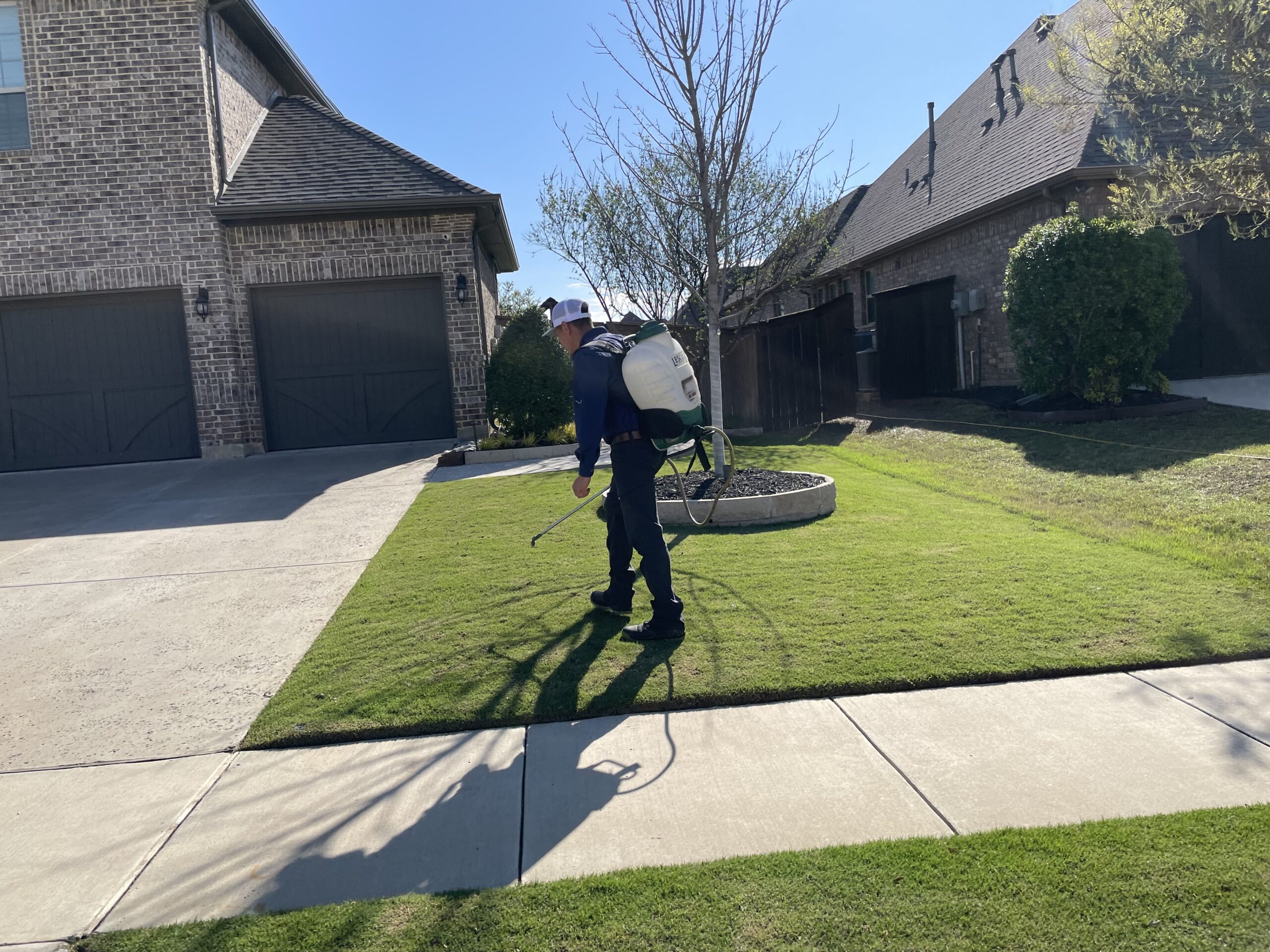 Will Weed Control Damage My Lawn & Plants in North Texas