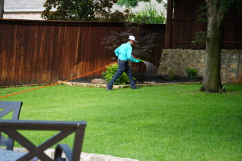 argyle, TX lawn care services